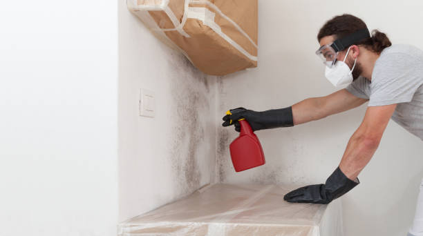 Professional Basement Mold Remediation technician working in Manchester Township, NJ