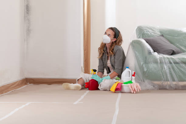 Reliable Basement Mold Remediation contractor in Manchester Township, NJ by WQB Mold Removal